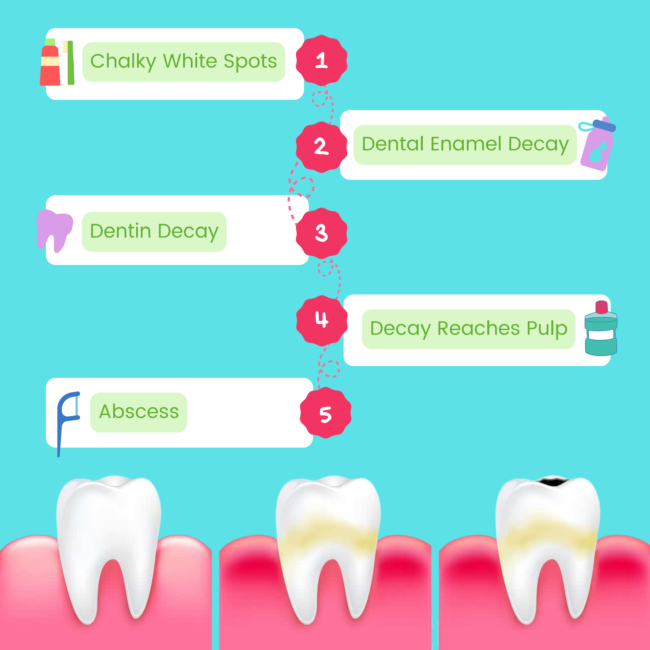General Dentist Graphic